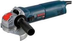 Bosch GWX 10-125 (06017B3000) 307263 фото