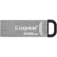 Kingston 256 GB DataTraveler Kyson (DTKN/256GB) 323617 фото