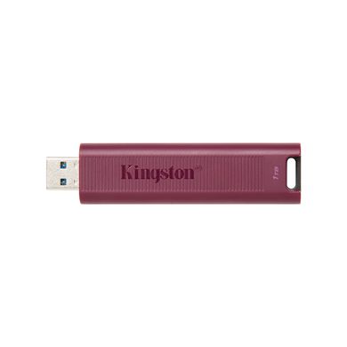 Kingston 1 TB DataTraveler Max USB 3.2 Gen 2 (DTMAXA/1TB) 323618 фото