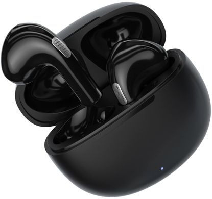 QCY AilyPods T20 Black 311354 фото