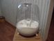 Deerma Humidifier White DEM-F325 308621 фото 9