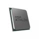 AMD Athlon 300GE (YD30GEC6M2OFH) 304798 фото 2