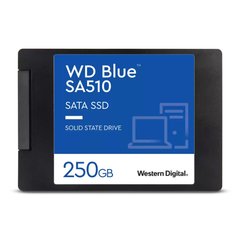 WD Blue SA510 250 GB (WDS250G3B0A) 323076 фото