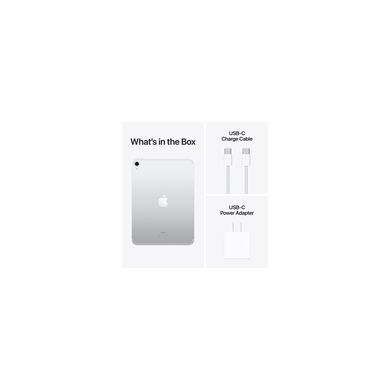 Apple iPad 10.9 2022 Wi-Fi 256GB Silver (MPQ83) 331537 фото