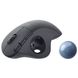 Logitech Ergo M575 for Business Graphite (910-006221) 317243 фото 4