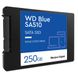 WD Blue SA510 250 GB (WDS250G3B0A) 323076 фото 3