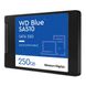 WD Blue SA510 250 GB (WDS250G3B0A) 323076 фото 2