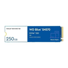 WD Blue SN570 250 GB (WDS250G3B0C) 323077 фото