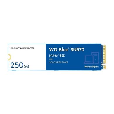 WD Blue SN570 250 GB (WDS250G3B0C) 323077 фото