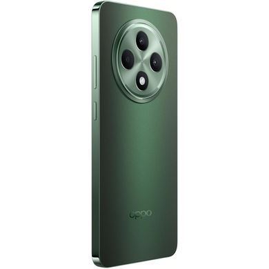 Reno12 FS 12/512GB Black Green (CPH2637) 1420215 фото