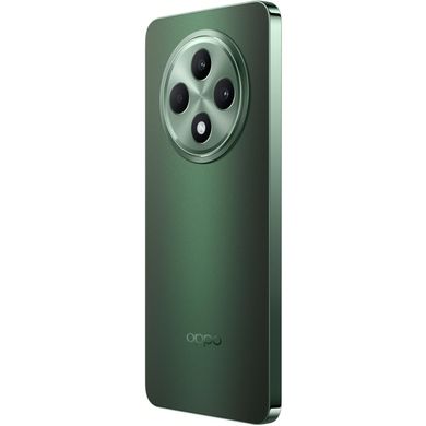 Reno12 FS 12/512GB Black Green (CPH2637) 1420215 фото