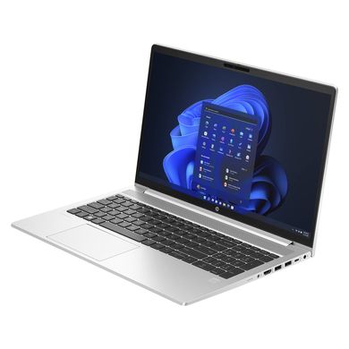 HP ProBook 455 G10 Silver (719F9AV_V4) 332240 фото