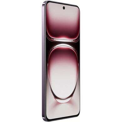 OPPO Reno12 CPH2625 5G 12/256GB Black Brown 1419770 фото