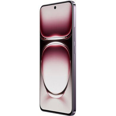 OPPO Reno12 CPH2625 5G 12/256GB Black Brown 1419770 фото