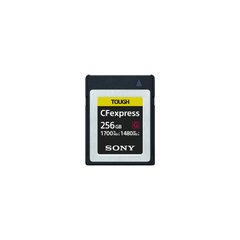 Sony 256 GB CFexpress Type B CEBG256.SYM 323181 фото