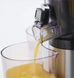 Russell Hobbs 25170-56 Slowjuicer 301593 фото 2