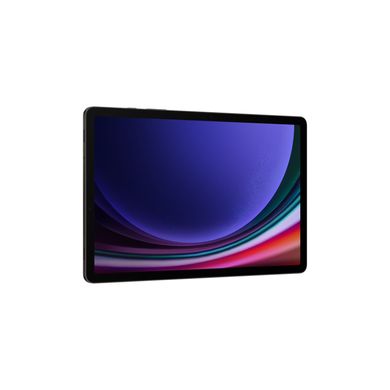 Samsung Galaxy Tab S9 12/256GB 5G Graphite (SM-X716BZAE) 322196 фото