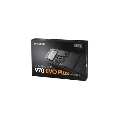 Samsung 970 EVO Plus 250 GB (MZ-V7S250BW) 306194 фото