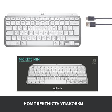 Logitech MX Keys Mini Minimalist US Pale Grey (920-010499) 316994 фото