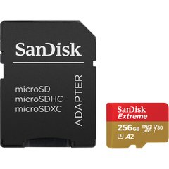 SanDisk 256 GB microSDXC UHS-I U3 V30 A2 Extreme (SDSQXAV-256G-GN6MA) 323245 фото