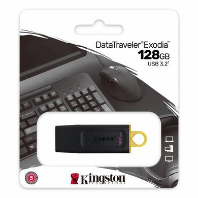 Kingston 128 GB DataTraveler Exodia (DTX/128GB) 325982 фото