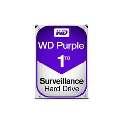 WD Purple (WD10PURZ) 323097 фото