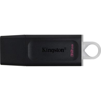 Kingston 256 GB DataTraveler Exodia (DTX/256GB) 325985 фото