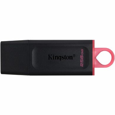 Kingston 256 GB DataTraveler Exodia (DTX/256GB) 325985 фото