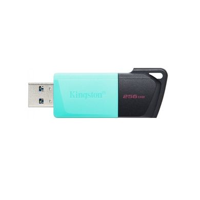 Kingston 256 GB DataTraveler Exodia M USB 3.2 Teal (DTXM/256GB) 325986 фото