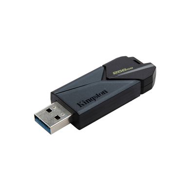Kingston 256 GB DataTraveler Exodia Onyx USB 3.2 Gen 1 Black (DTXON/256GB) 325987 фото