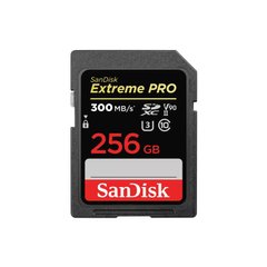 SanDisk 256 GB SDXC UHS-II U3 V90 Extreme PRO (SDSDXDK-256G-GN4IN) 323251 фото