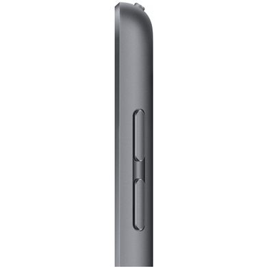 Apple iPad 10.2 2021 Wi-Fi 256GB Space Gray (MK2N3) 329745 фото