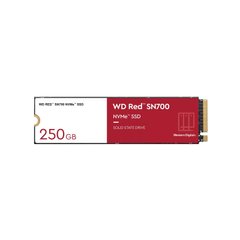 WD Red SN700 250 GB (WDS250G1R0C) 1348914 фото