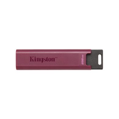 Kingston 256 GB DataTraveler Max USB 3.2 Gen 2 (DTMAXA/256GB) 323615 фото
